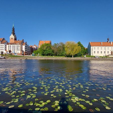 Stare Miasto Kwiaty Elbląg Exterior foto