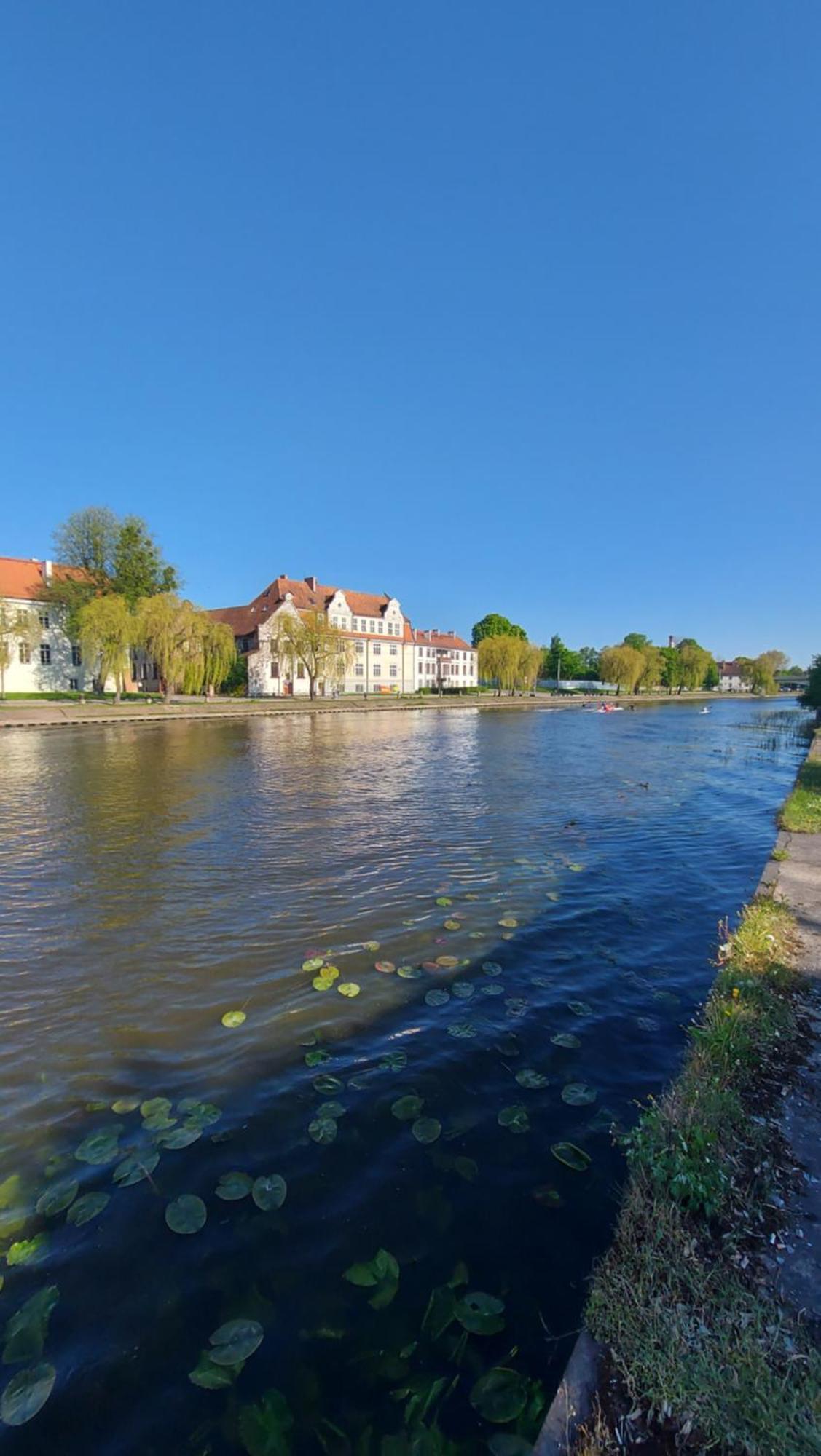 Stare Miasto Kwiaty Elbląg Exterior foto